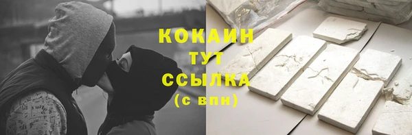 дживик Мегион